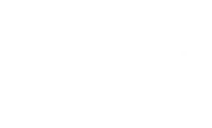 Werner - Gekotzt wird später! — Logos 2