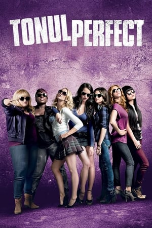 Poster Tonul perfect 2012