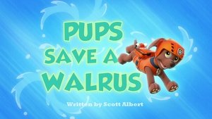 Image Pups Save a Walrus