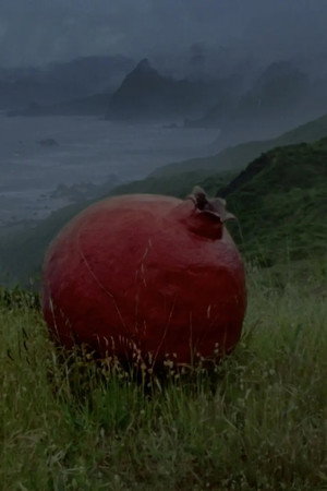 what does it feel like to live inside of a pomegranate? (2026)
