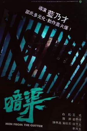 Image 暗渠