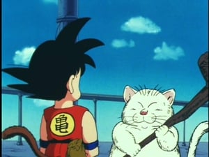 Dragon Ball Korin Tower