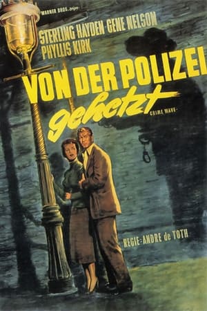 Poster Von der Polizei gehetzt 1953