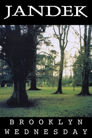 Poster Jandek: Brooklyn Wednesday 2008