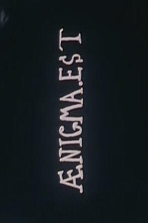 Aenigma Est