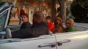 Pushing Daisies: 1×6