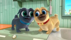 Puppy Dog Pals 2017