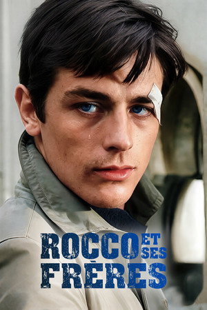Rocco and His Brothers 96