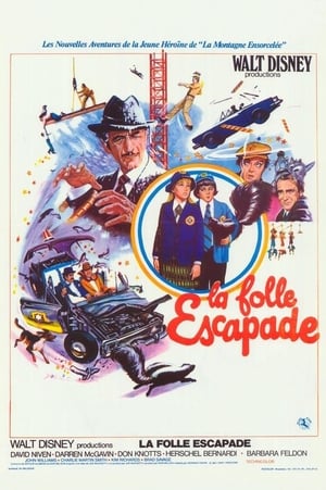 Poster La Folle Escapade 1976