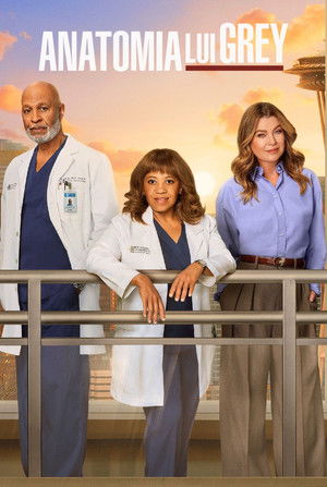 poster Grey's Anatomy