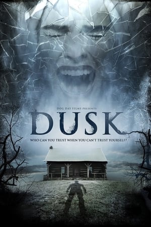 Dusk poster