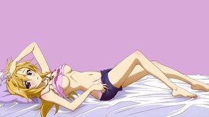 Infinite Stratos ( 2011 )