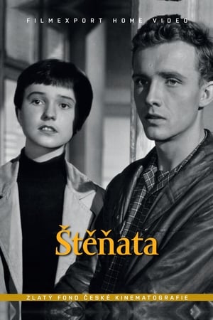 Poster Štěňata 1958