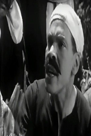 Sayed Ghoneim portrait