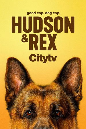 poster Hudson & Rex