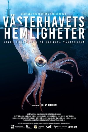 Nonton film Västerhavets Hemligheter (2024) terbaru sub indo Nonton film Västerhavets Hemligheter (2024) terbaru sub indo