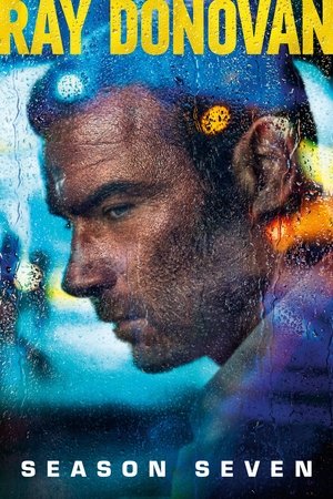 Ray Donovan: Staffel 7