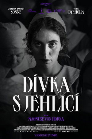 Image Dívka s jehlicí