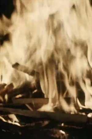 Nonton film TV as a Fireplace (1969) terbaru sub indo Nonton film TV as a Fireplace (1969) terbaru sub indo