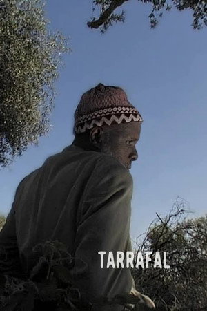 Tarrafal 4