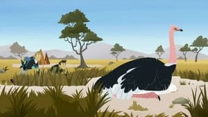 Wild Kratts Uh-Oh Ostrich