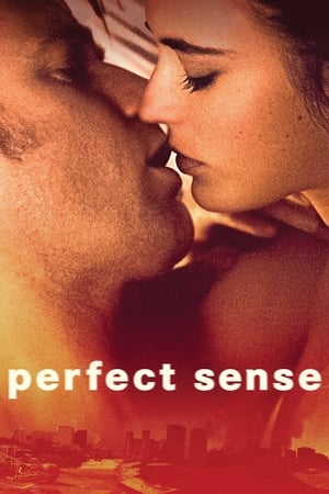 Poster Perfect Sense 2011