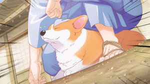 The Corgi and the Samurai: 1×3