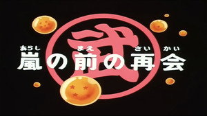 Dragon Ball - Dragon Ball - Saison 1 - Les Retrouvailles - image n°1