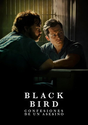 Black Bird 90