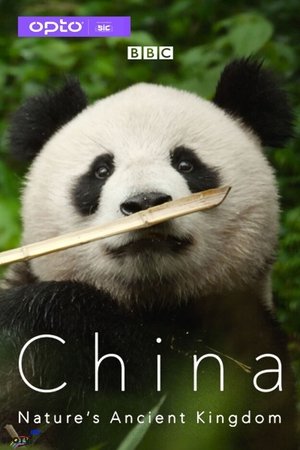 China Nature's Ancient Kingdom 2021