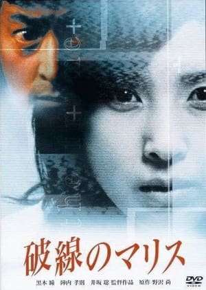 Poster The Frame (2000)