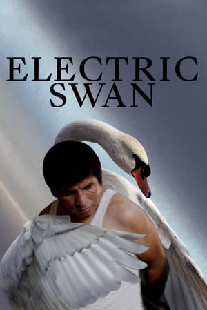 Poster Electric Swan 2019