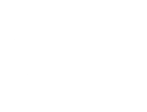 VS.