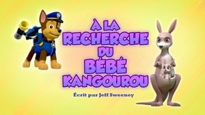 À la recherche du bébé kangourou
