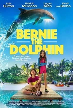 Bernie the Dolphin Bernie the Dolphin