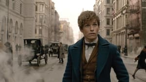Fantastic Beasts and Where to Find Them (2016) me Titra Shqip