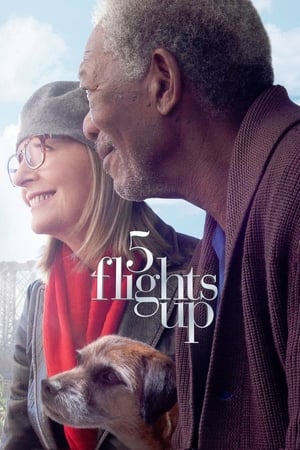 Poster 5 Flights Up 2014