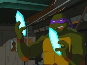 Teenage Mutant Ninja Turtles: 2×13