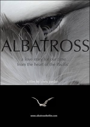 Poster Albatross (2013)