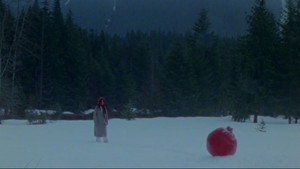 what does it feel like to live inside a pomegranate?