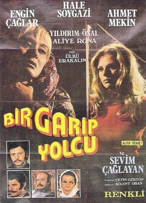 Bir Garip Yolcu 6