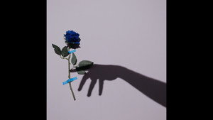 Bo Burnham: Inside 110