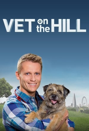 Poster Vet On The Hill 2016