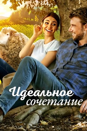 Идеальное сочетание (2022)