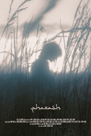 pharaoh 6