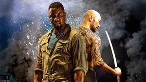 Falcon Rising