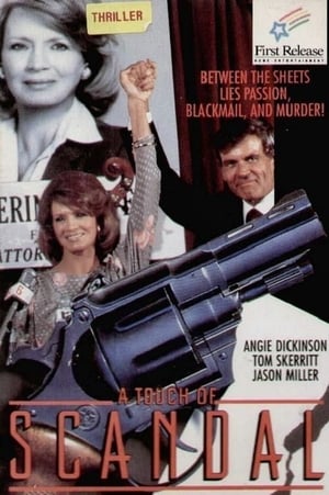 Poster A Touch of Scandal (1984)