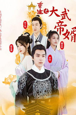 重生之大武帝婿