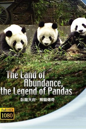 Poster The Land Of Abundance The Legend Of Pandas (2009)