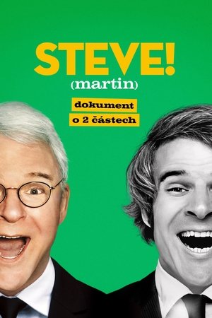 Image STEVE! (martin) dokument o 2 částech